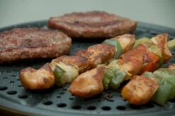 Cobb Premier+ Gas Gasbarbecue - Grijs -Buiten Kamperen Verkoop 1263 1900 dsc 0474