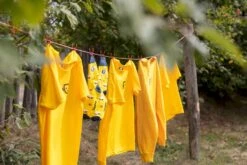 Easy Camp Edendale 600 Tunneltent 6 Persoons - Grijs -Buiten Kamperen Verkoop 1267 1900 waslijn 1 1