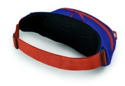 Osprey Daylite Heuptas - Blauw/Oranje -Buiten Kamperen Verkoop 1900 1425 daylitewaist s23 sideback silverliningblueberry 10005144