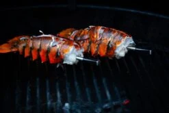 MEATER Block Met 4 Draadloze Thermometers -Buiten Kamperen Verkoop 20190625 mg 6541