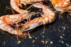 OFYR Kookboek 4 OFYR Kookboek -Buiten Kamperen Verkoop 800 1200 cb no1 nl fr 3