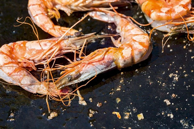 OFYR Kookboek OFYR Kookboek -Buiten Kamperen Verkoop 800 1200 cb no1 nl fr 3