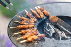 RedFire ONYX Classic Vuurschaal Bbq - 80 Cm -Buiten Kamperen Verkoop 85208 lifestyle 06 1