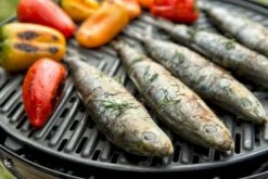 CADAC Grillo Chef 40 Gasbarbecue - BBQ -Buiten Kamperen Verkoop 900 1348 grillo chef 40 bbq grid 1