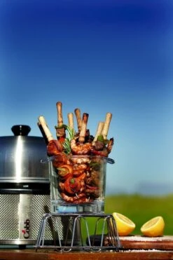 Cobb Premier+ Gas Gasbarbecue - Grijs -Buiten Kamperen Verkoop cobb premier 3 1