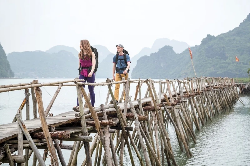 Osprey Farpoint backpack - 40 liter - Donkergroen Osprey Farpoint Backpack - 40 Liter - Donkergroen -Buiten Kamperen Verkoop osprey farpointfairview 1 3