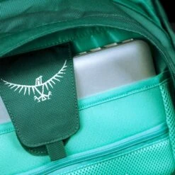 Osprey Farpoint Backpack - 40 Liter - Donkergroen 8 Osprey Farpoint Backpack - 40 Liter - Donkergroen -Buiten Kamperen Verkoop osprey farpointfairview features 7 2